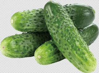 秋黄瓜免扣素材