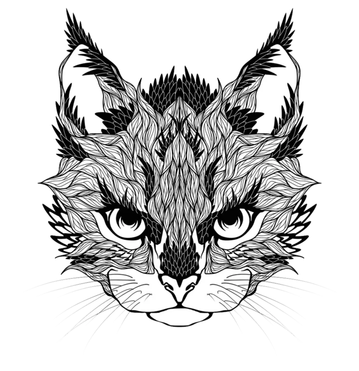小猫卡通线条