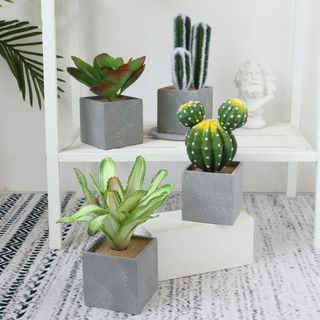 北欧简约绿植盆栽场景(41)