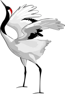 中国风古典中式国潮风手绘飞鹤图案仙鹤装饰素材PNG免抠插画元素