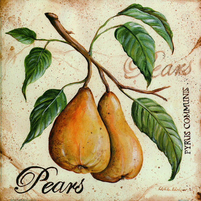 复古手绘梨树枝插画