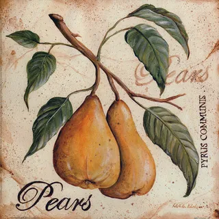 复古手绘梨树枝插画