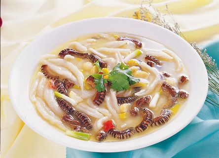 RCS-6113面疙瘩地龙