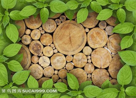 高清木头绿叶相框图片下载