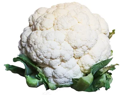 白色花菜图片 白色花菜图片