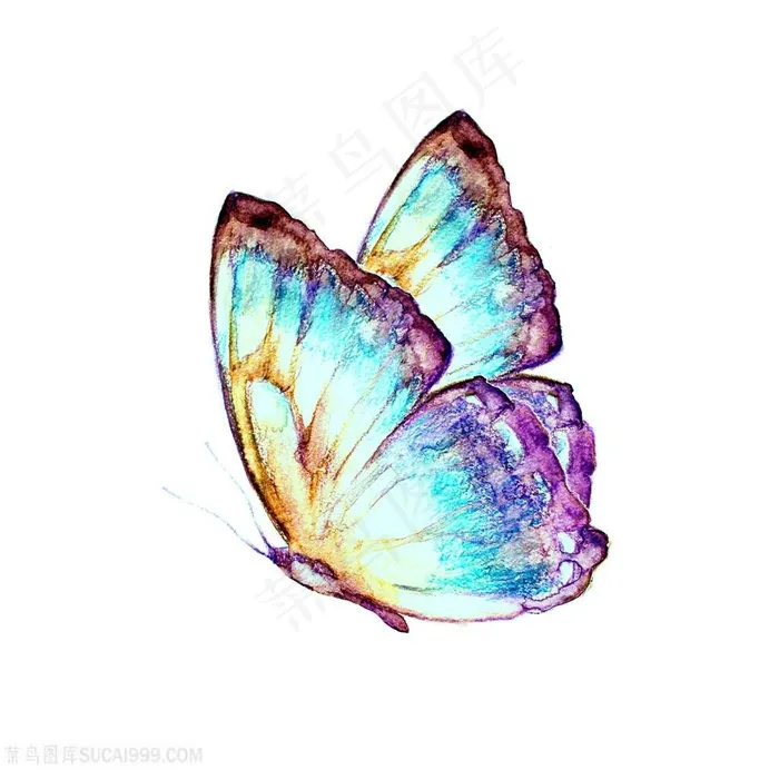炫彩水彩蝴蝶绘画高清图