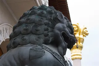 石狮铜狮造型建筑图片美图素材