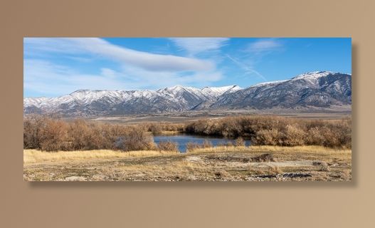 冬天自然背景风景