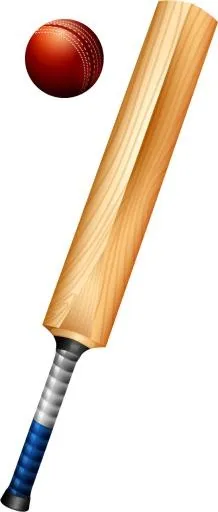 板球拍 PNG免抠(543x1270)