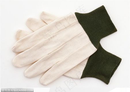 园艺工具-白色的手套