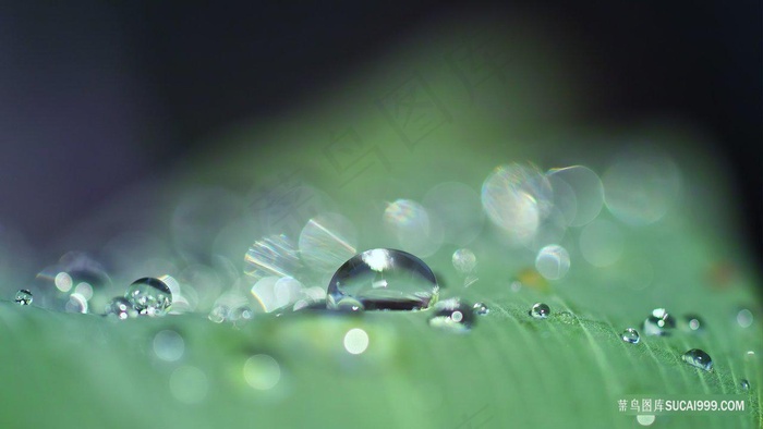 晶莹的水珠梦幻炫光背景