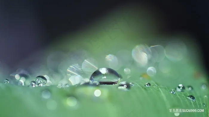 晶莹的水珠梦幻炫光背景