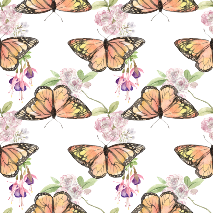 插画春鸟免抠素材