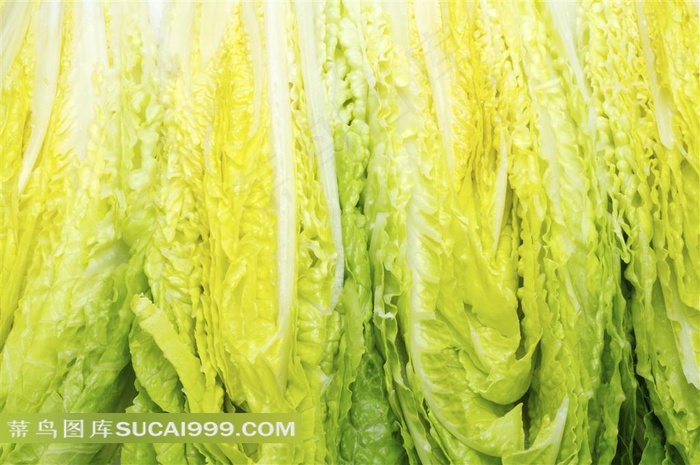 高清蔬菜摄影图片