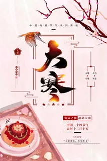 二十四24节气大寒中国传统节日冬季海报模设计素材