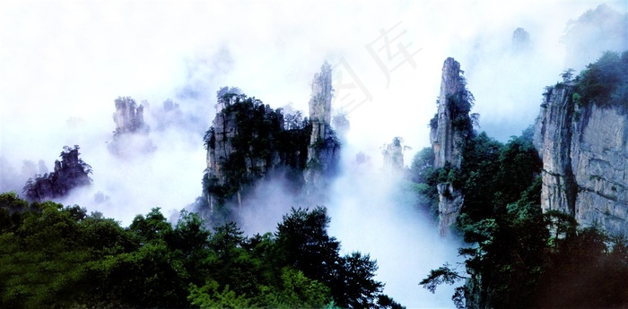 雾气弥漫的山林