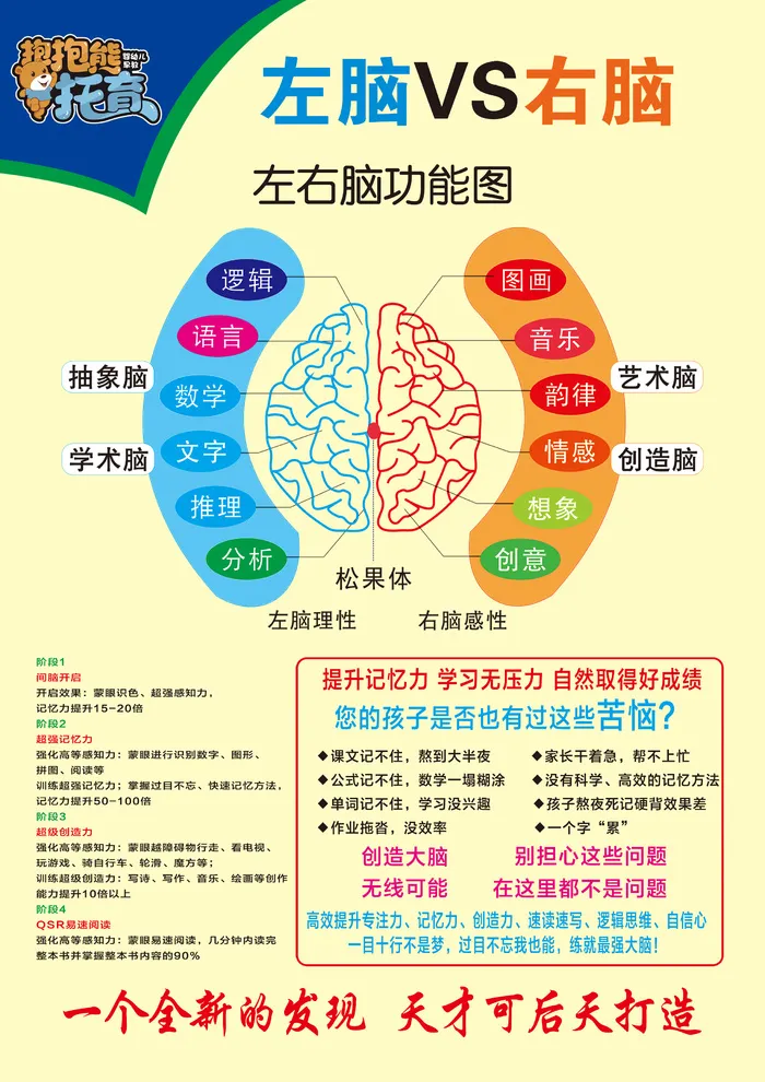左右脑功能图psd模版下载