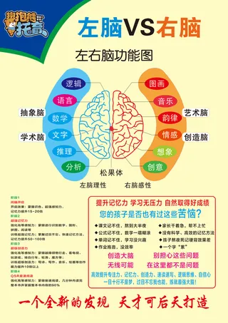 左右脑功能图