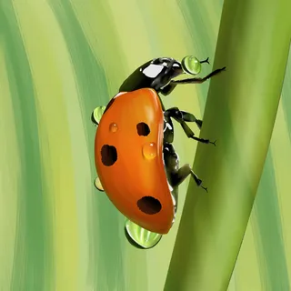 谷雨二十四节气海报设计