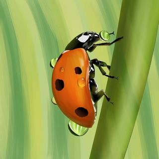 谷雨二十四节气海报设计