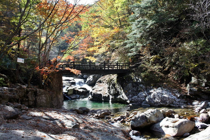 秋天森林公园山涧溪流图片