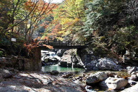 秋天森林公园山涧溪流图片 秋天森林公园山涧溪流图片