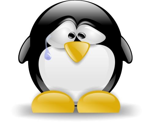 Linux 标志 PNG免抠(500x401)