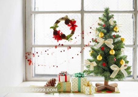 圣诞树与礼物摄影