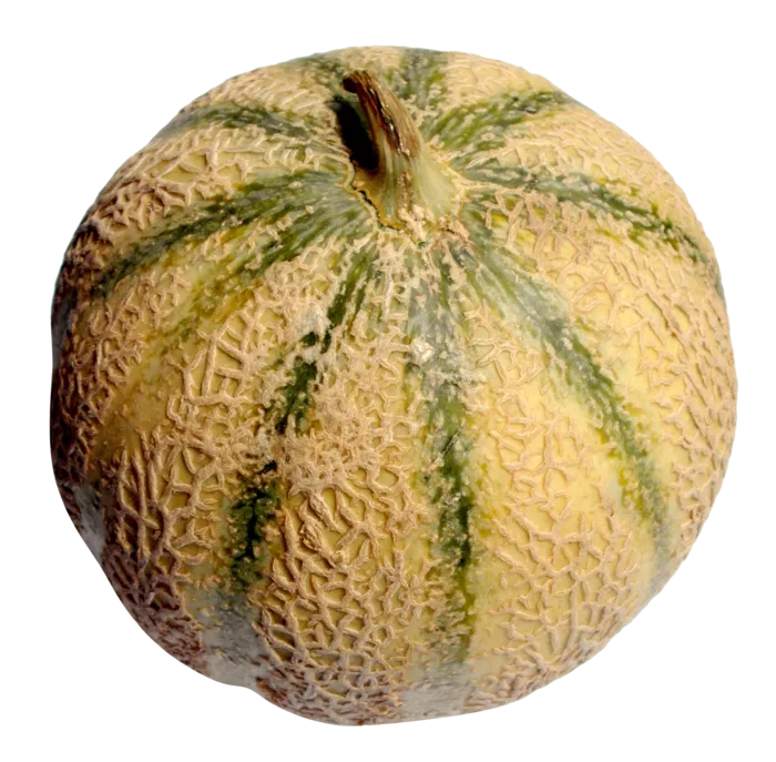 水果圆形新鲜