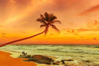 高清海边梦幻椰树风景图片