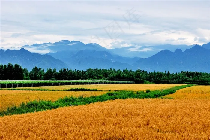 西安环山路风光