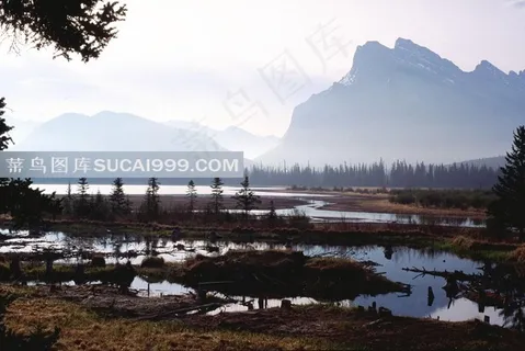 山峰下树林前的河流