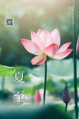 夏至国风莲花简约海报