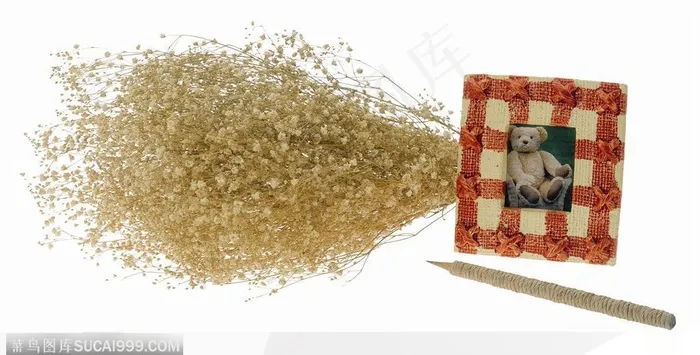 花饰小品-相框边的干花