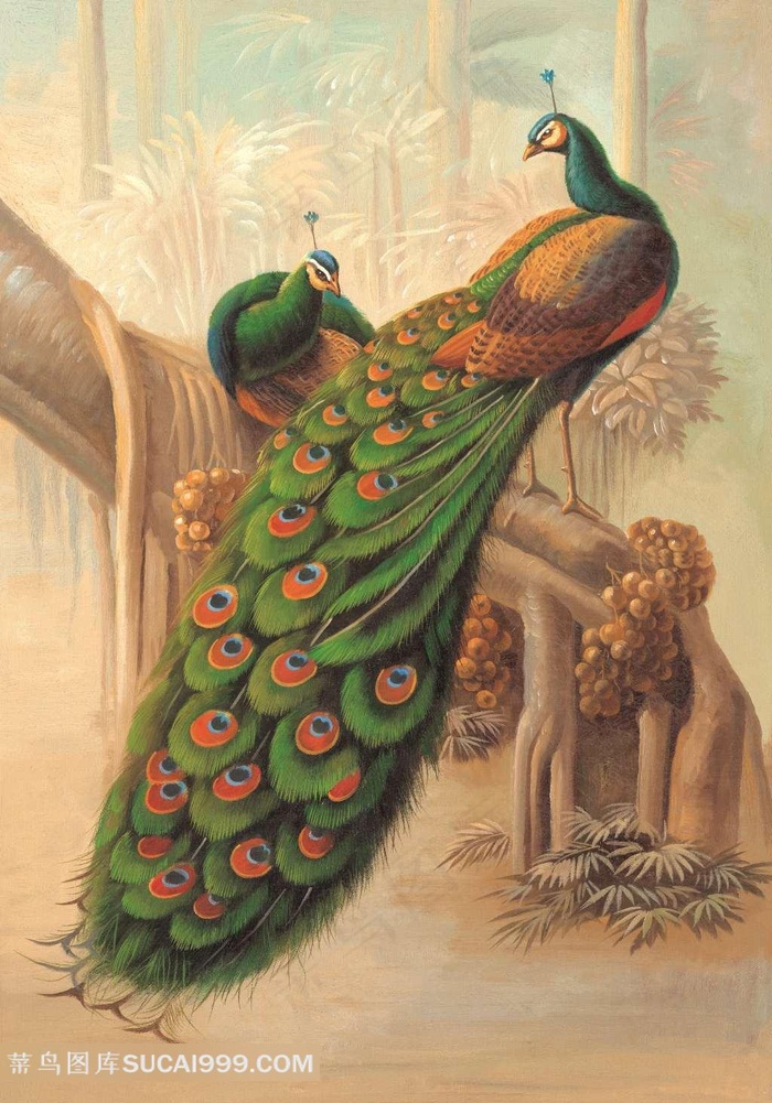 孔雀工笔画装饰画