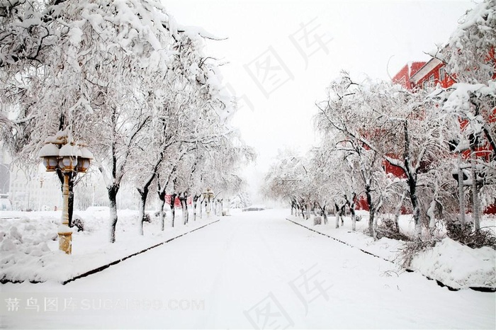 超美丽的雪景