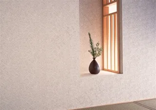 镜子映出的风景