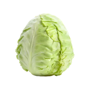 包菜 (20)超市商品白底图免抠实物摄影png格式图片透明底