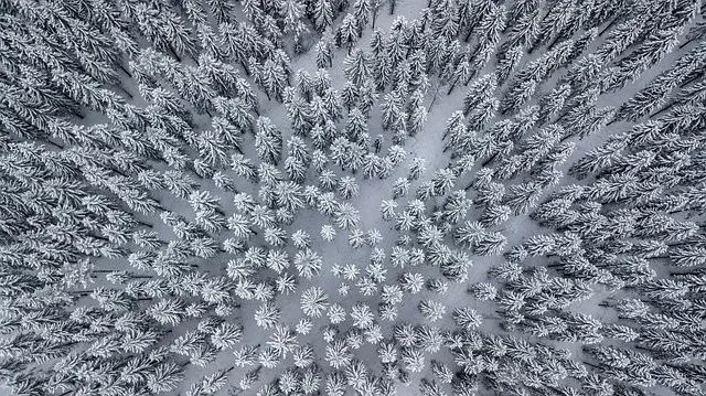 冬天白雪背景风景