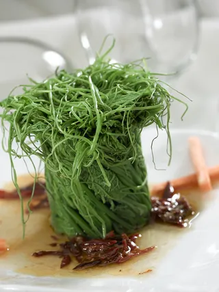 LCSC2021炝拌龙须菜