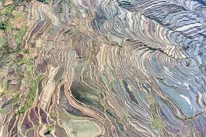 元阳甲寅梯田