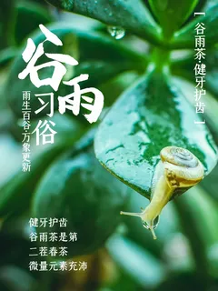 谷雨 谷雨海报图片