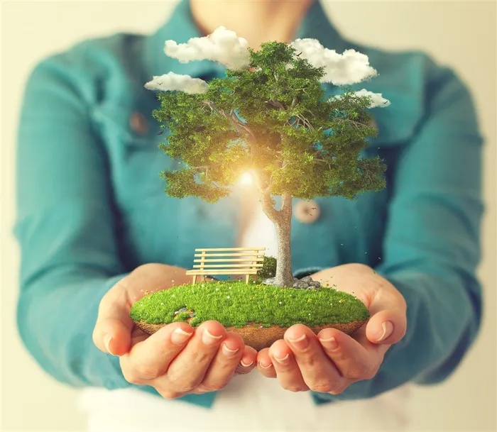 手捧着土地的人物