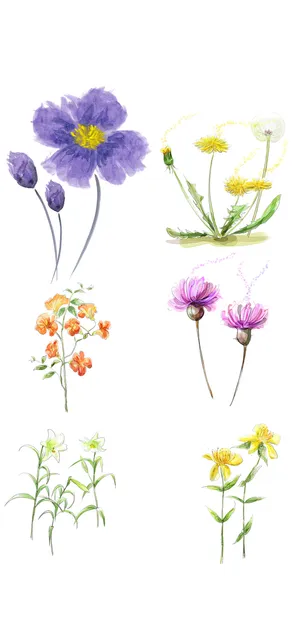 绿色简约风CDR矢量图春季花草植物插画元素