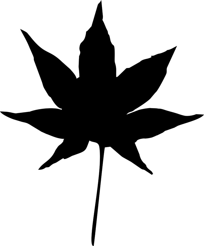 枫叶矢量图案cdr矢量模版下载