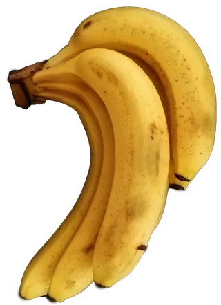 金黄色香蕉成熟免抠摄影元素素材