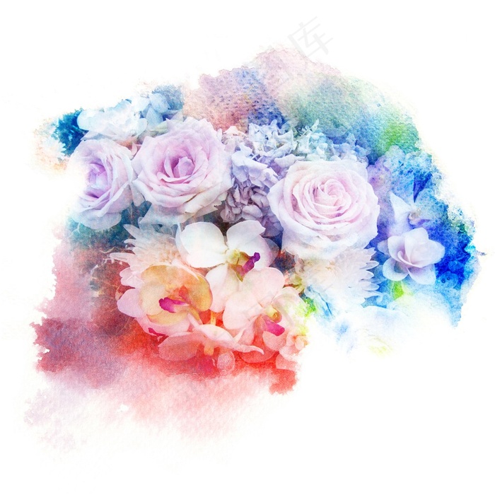 各种鲜花花卉高清图片