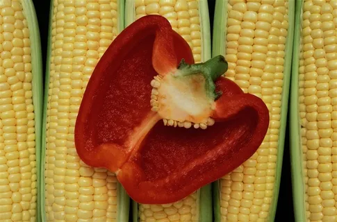 西红柿辣椒卷心菜好吃的水果美图素材