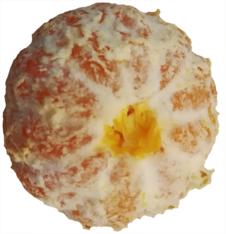 椪柑橘子柑橘免抠摄影元素素材