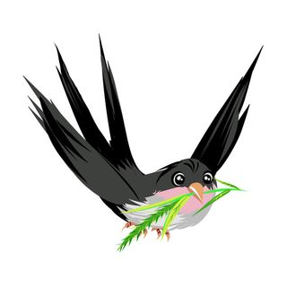 水彩手绘春季春天柳树柳条枝条小鸟小燕子元素PSD设计素材PNG图片